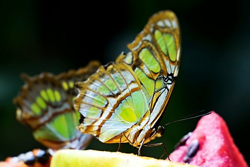 Photograph by Mónica Castaño