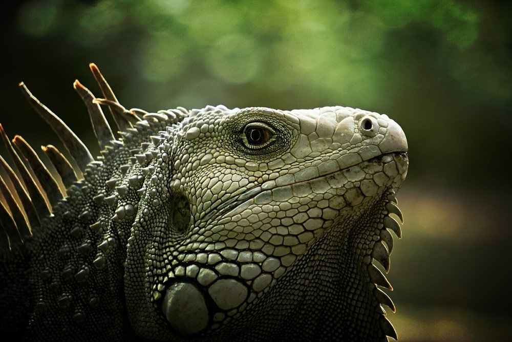 Photograph by Mónica Castaño