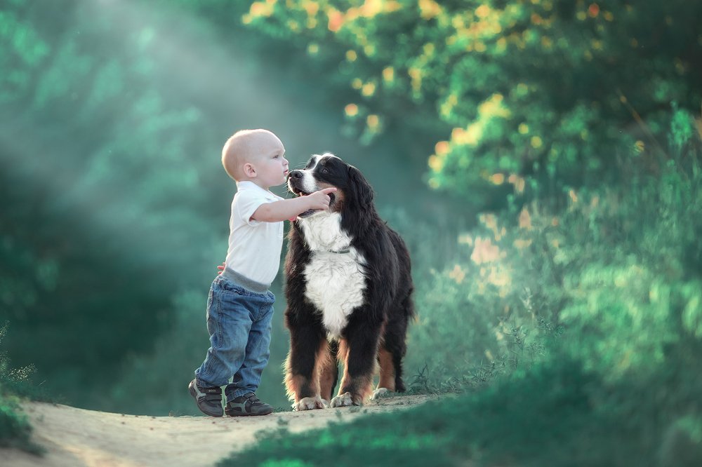 Photograph by Viktoriia Lykhonosova