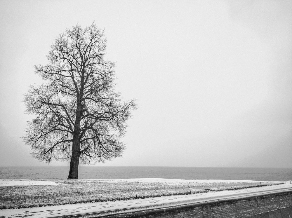 Photograph by Дмитрий Малышев