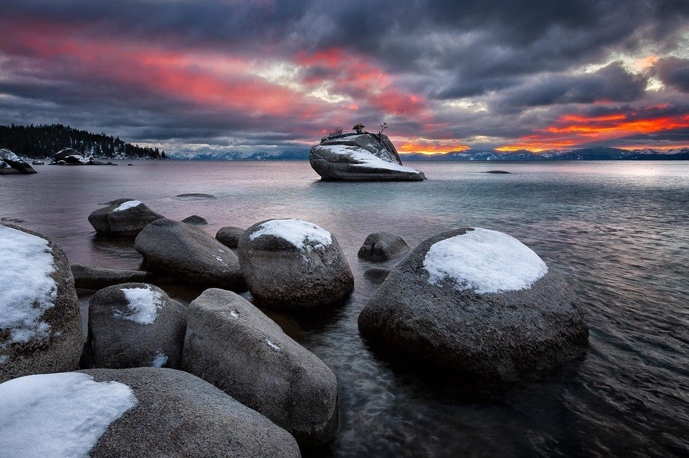 Bonsai Rock