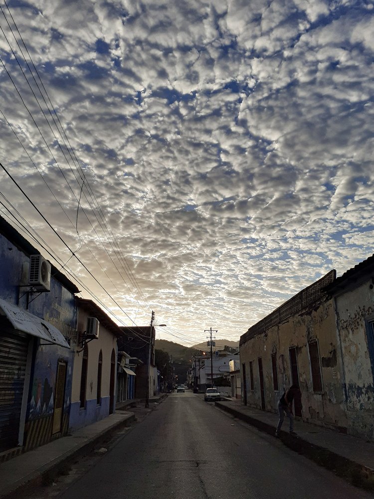 the carpet in the sky