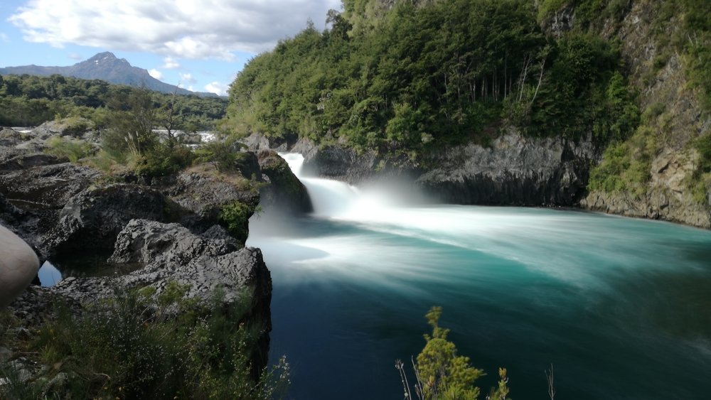 Photo #4402841