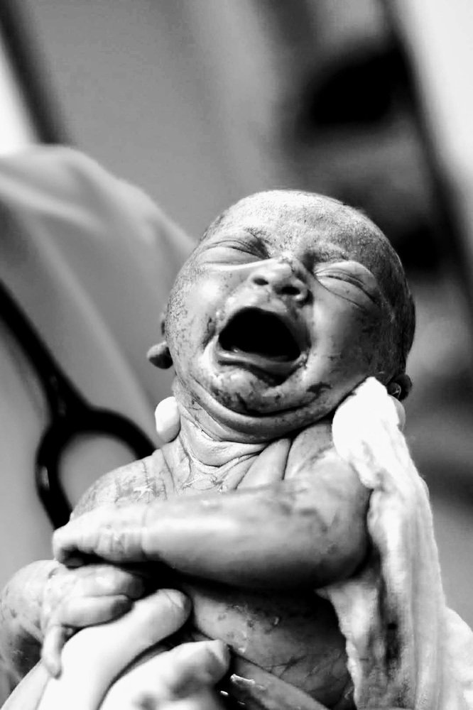 Photograph by Xamantha Barmekses