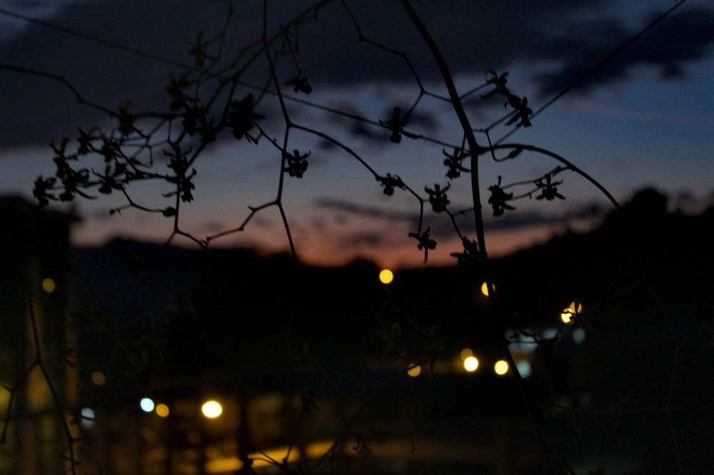 Photograph by Damk