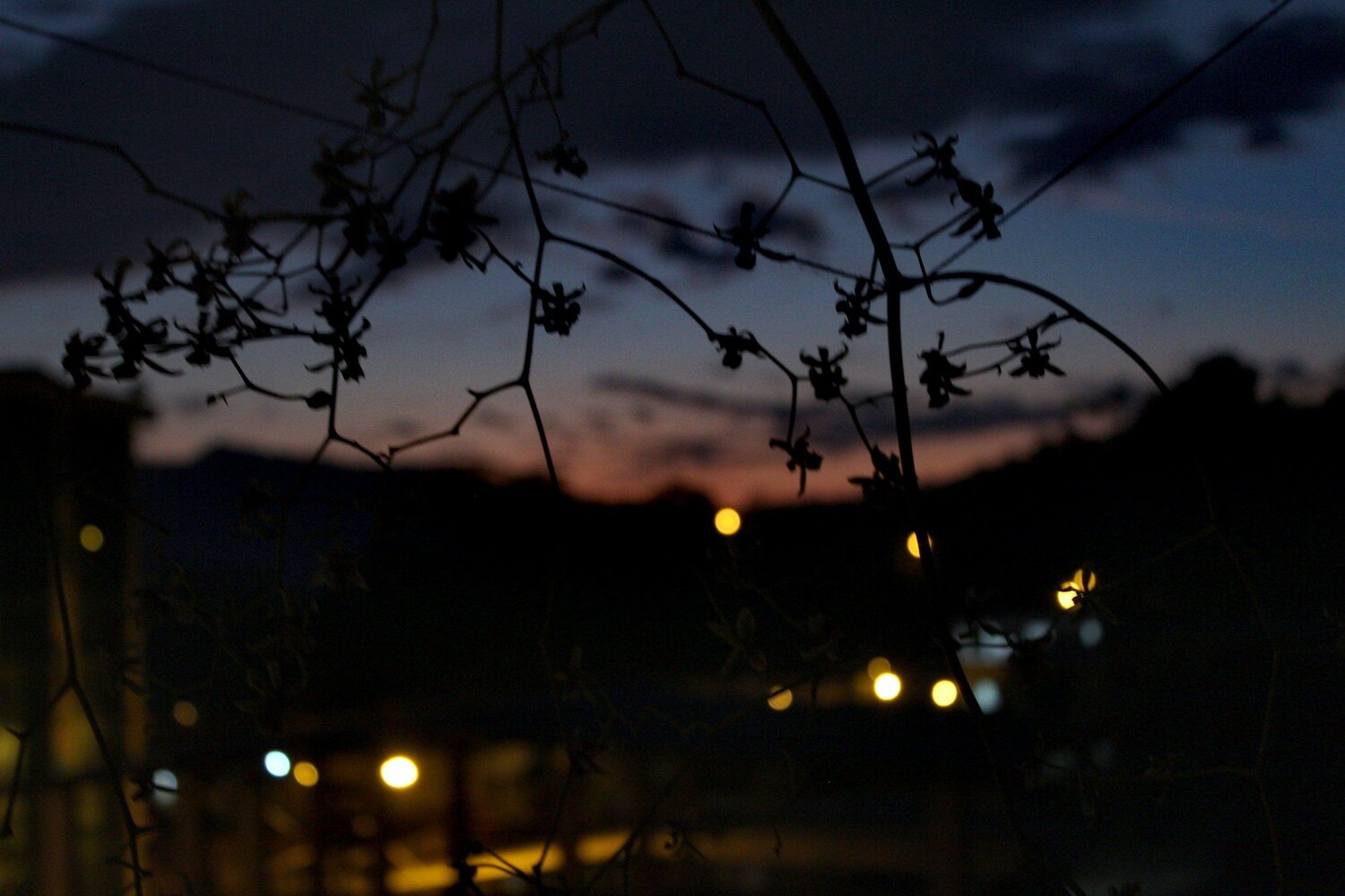 Photo #4402897