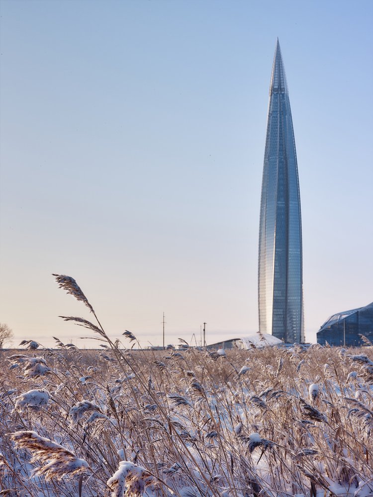 'Кукурузное'' поле