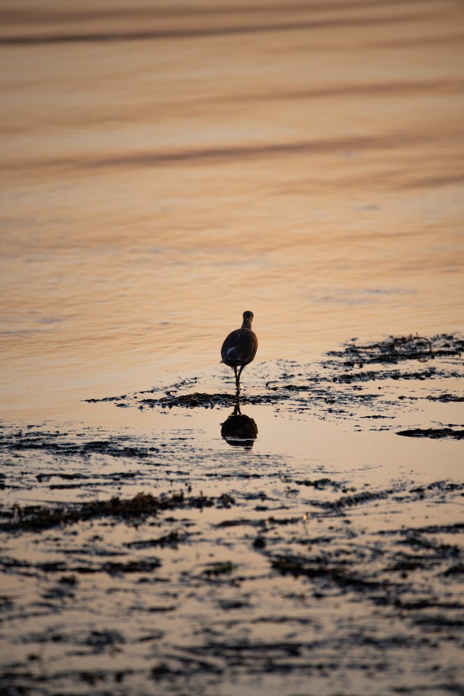 Photograph by Helmy Moataz