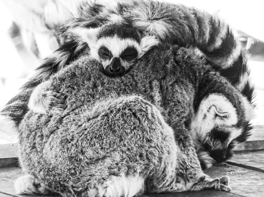 Photograph by Patrycja Sorensen