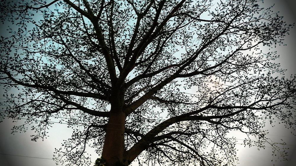 Photograph by Debs Alberto