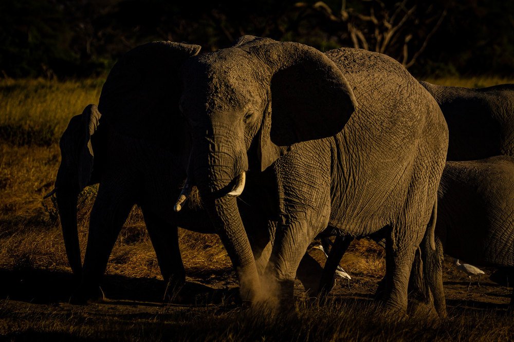 Photograph by Smita Behera