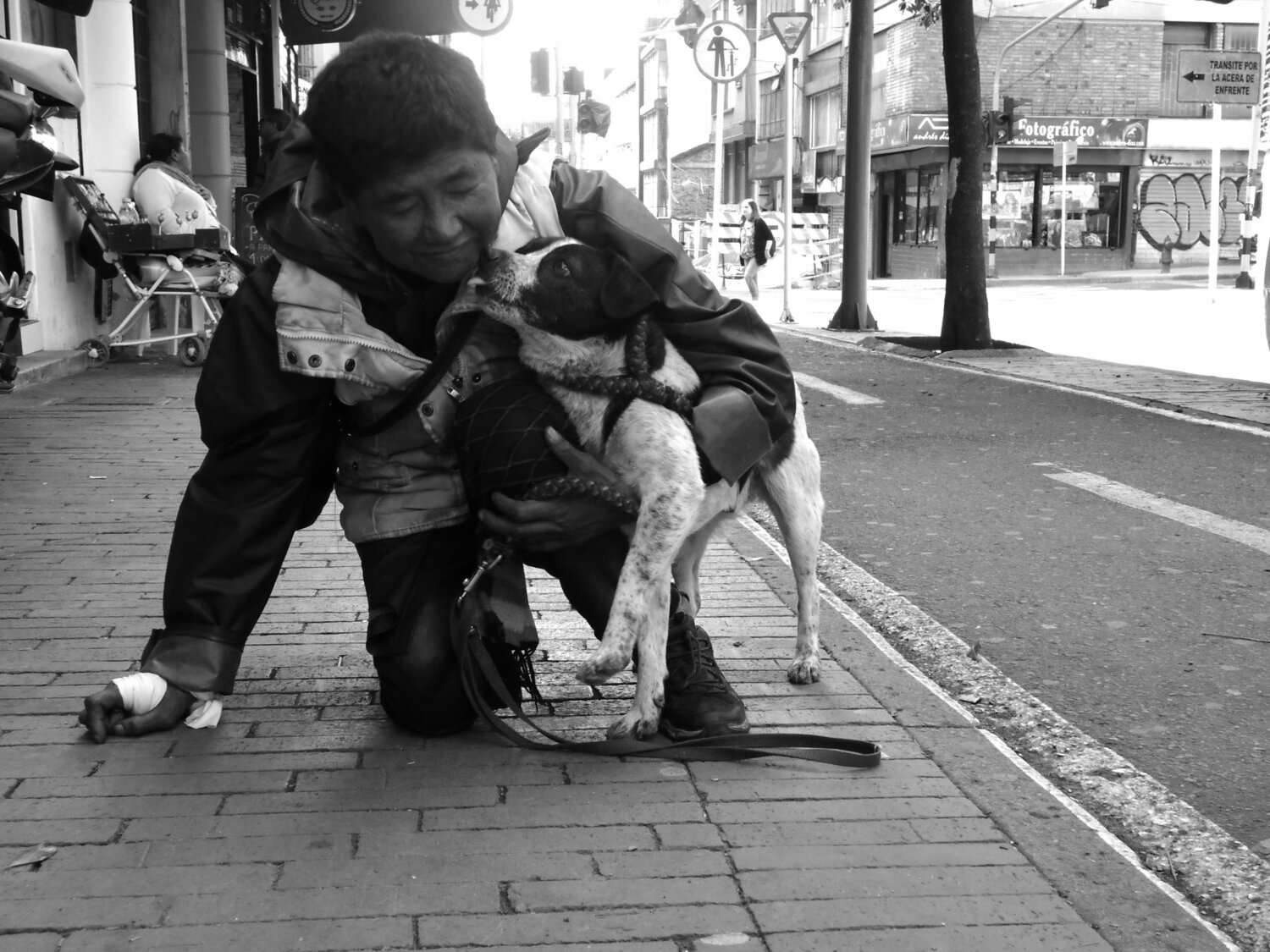 Photo #4403025