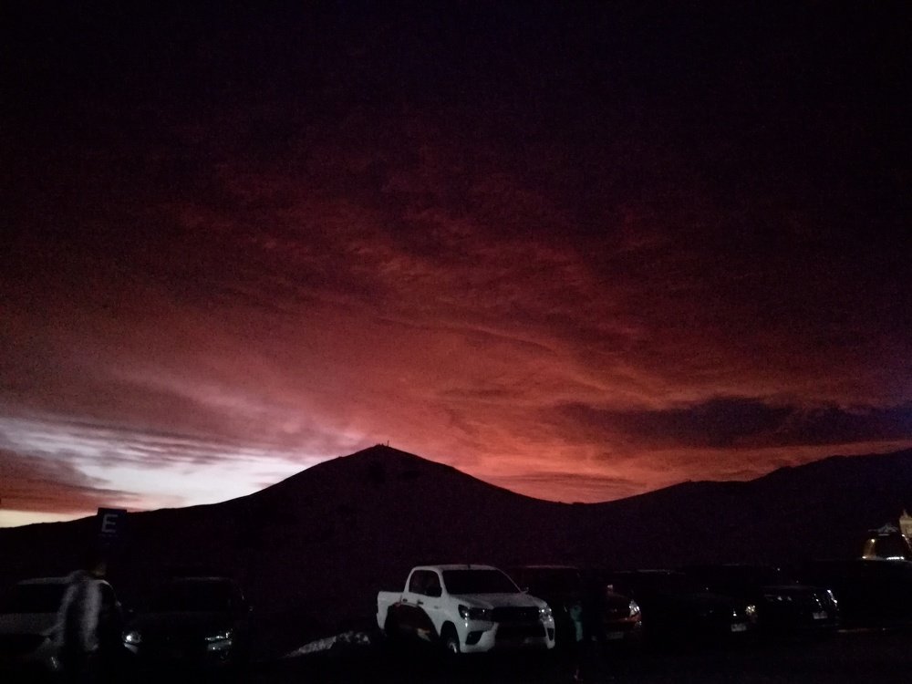 Photo #4403050