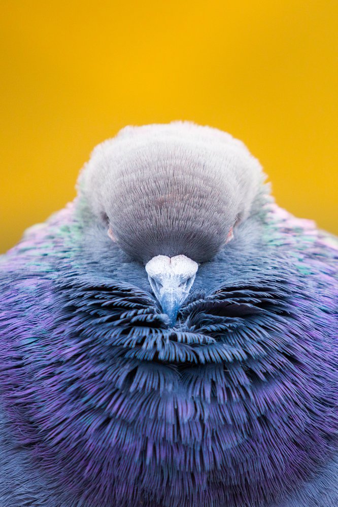 Photograph by Senthilverl Senthi Aathavan