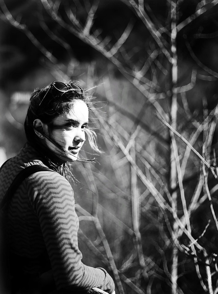 Photograph by Amin Ghovanlou