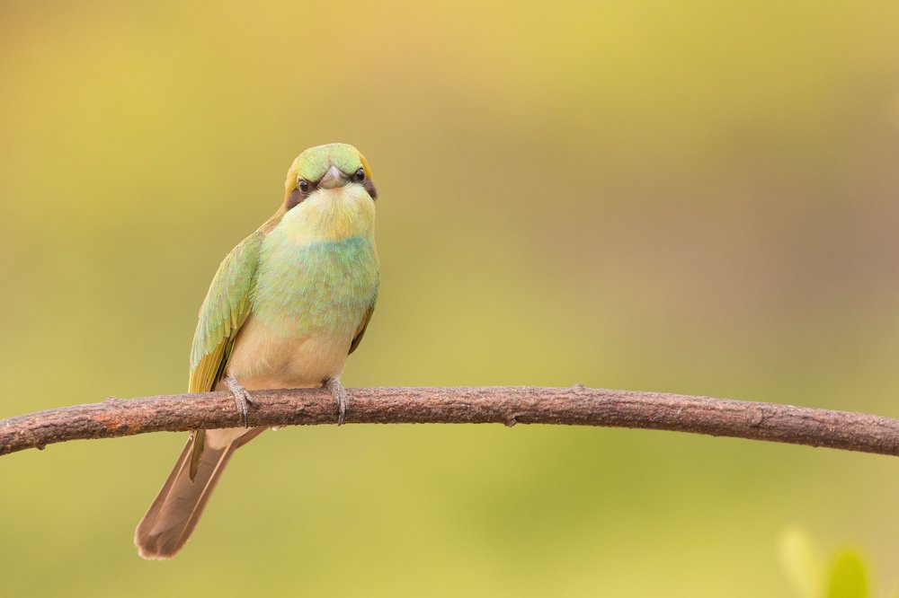 Photograph by Senthilverl Senthi Aathavan