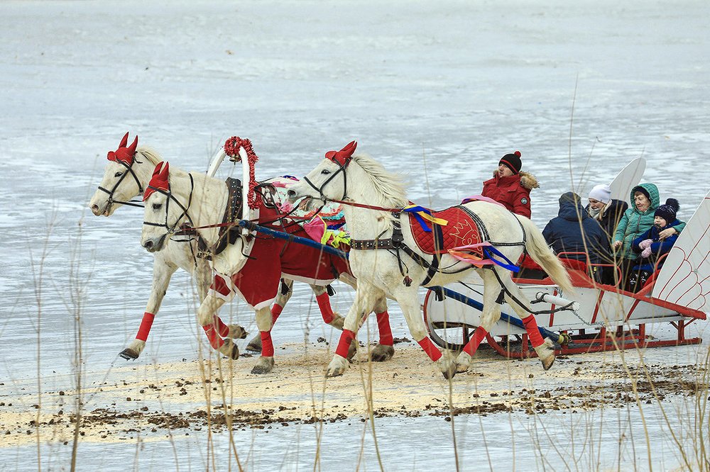 Три белых коня, три белых коня...
