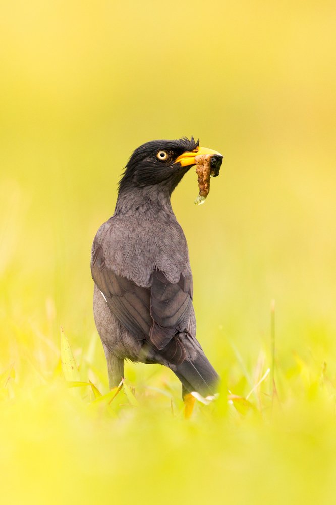 Photograph by Senthilverl Senthi Aathavan
