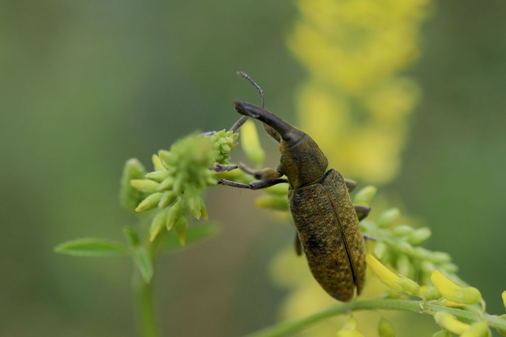 Photograph by Oleg Shlykov