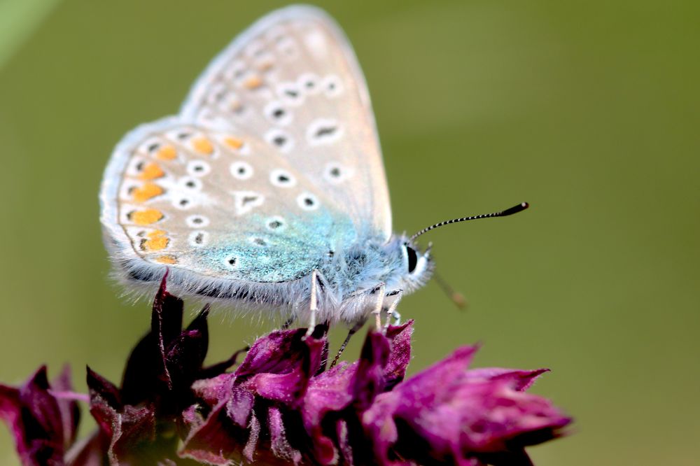 Photograph by Oleg Shlykov