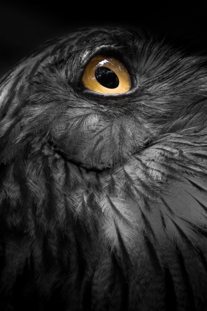 Photograph by Senthilverl Senthi Aathavan