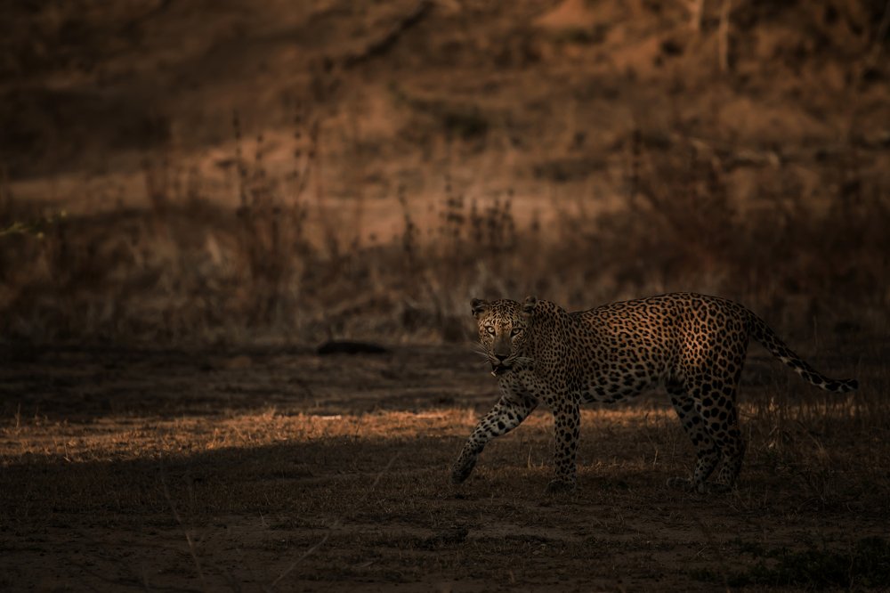 Photograph by Senthilverl Senthi Aathavan
