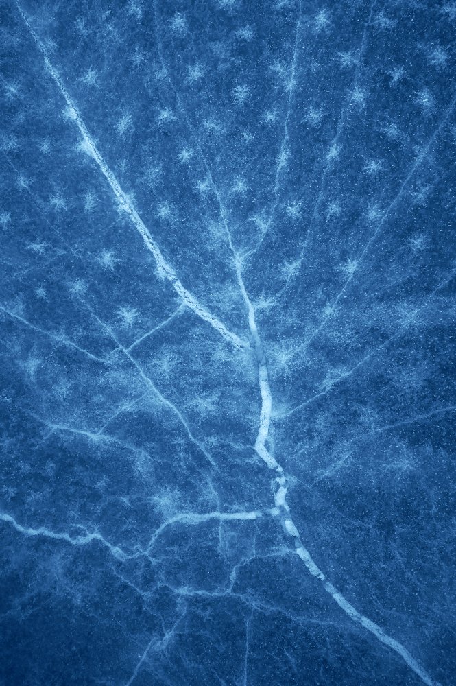 Весна в душе