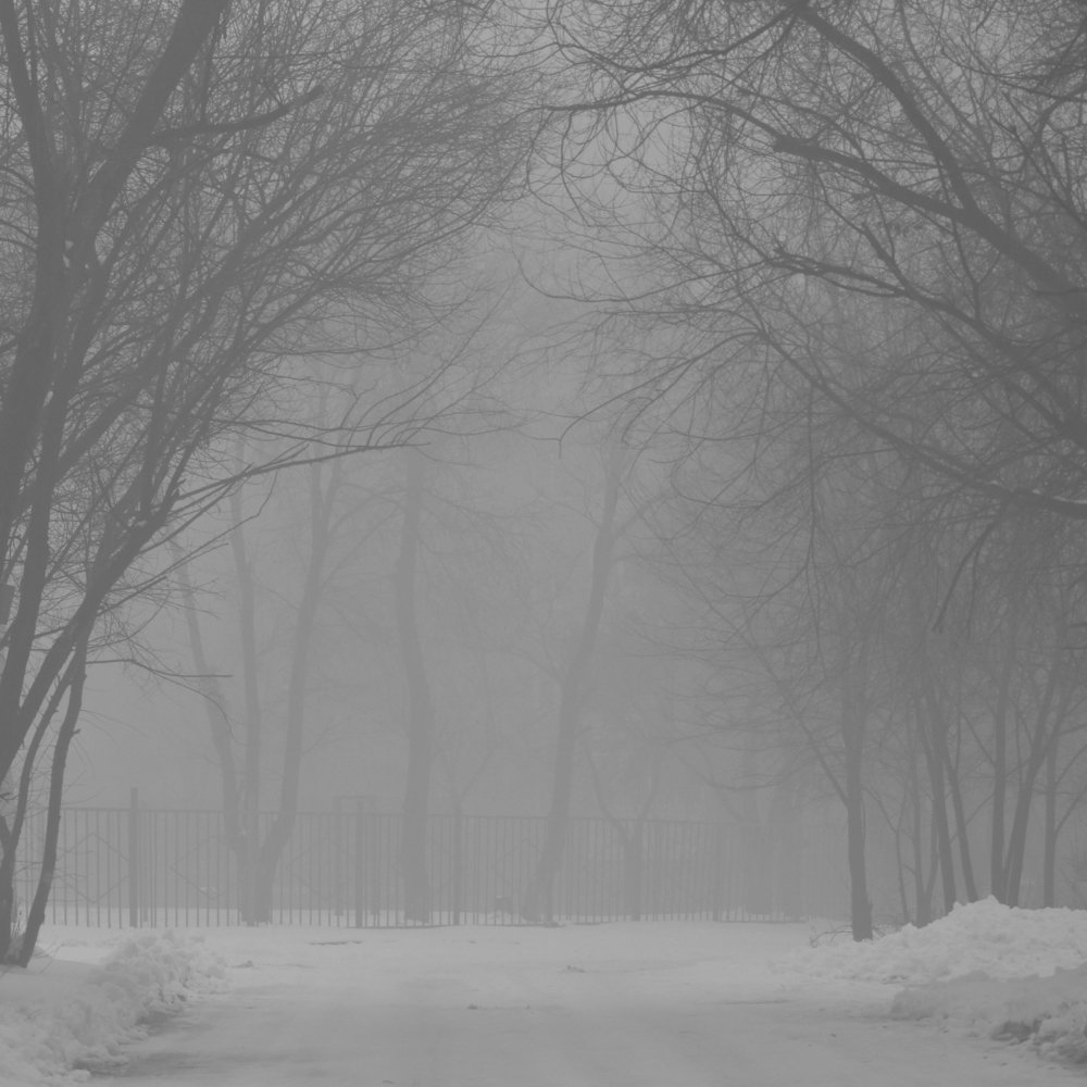 Photograph by Ярослав Акопян