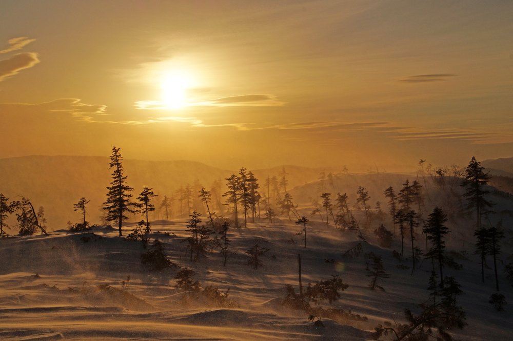 Photograph by Ирина Щеглова