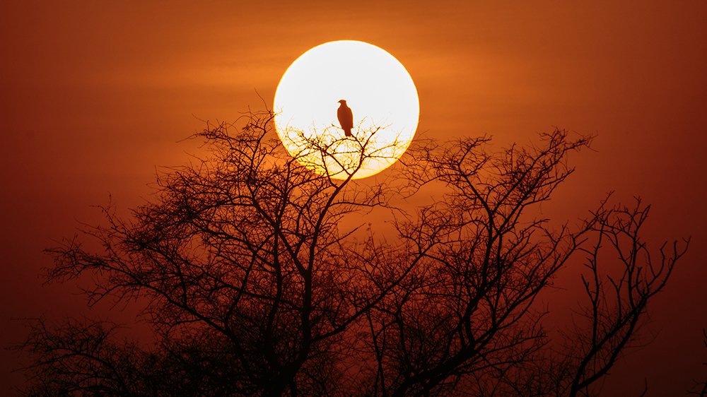 Photograph by Milind Joshi