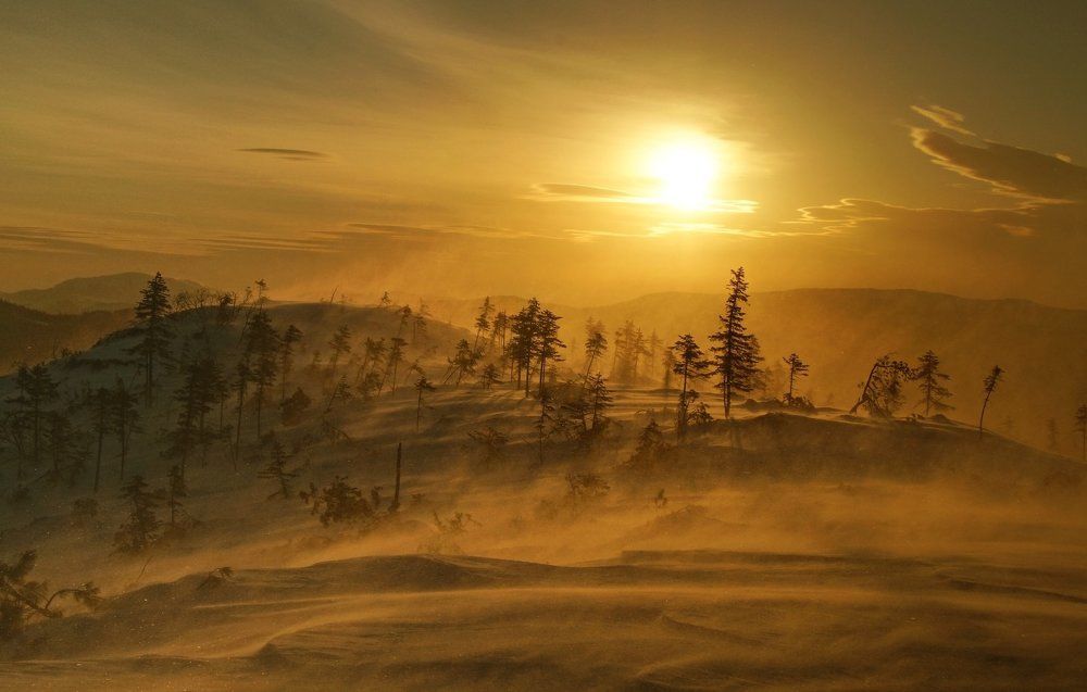 Photograph by Ирина Щеглова
