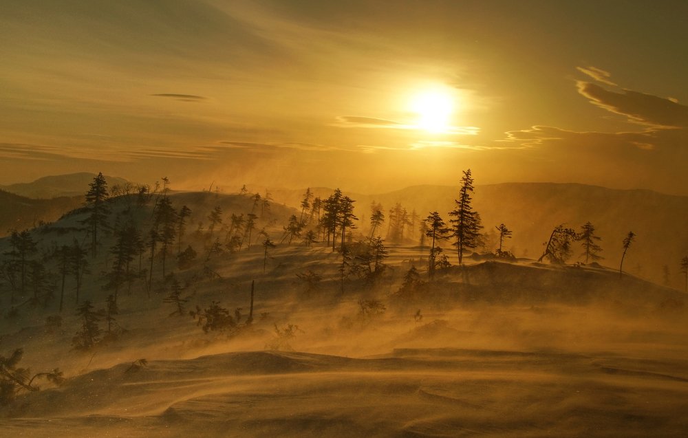 Photograph by Ирина Щеглова