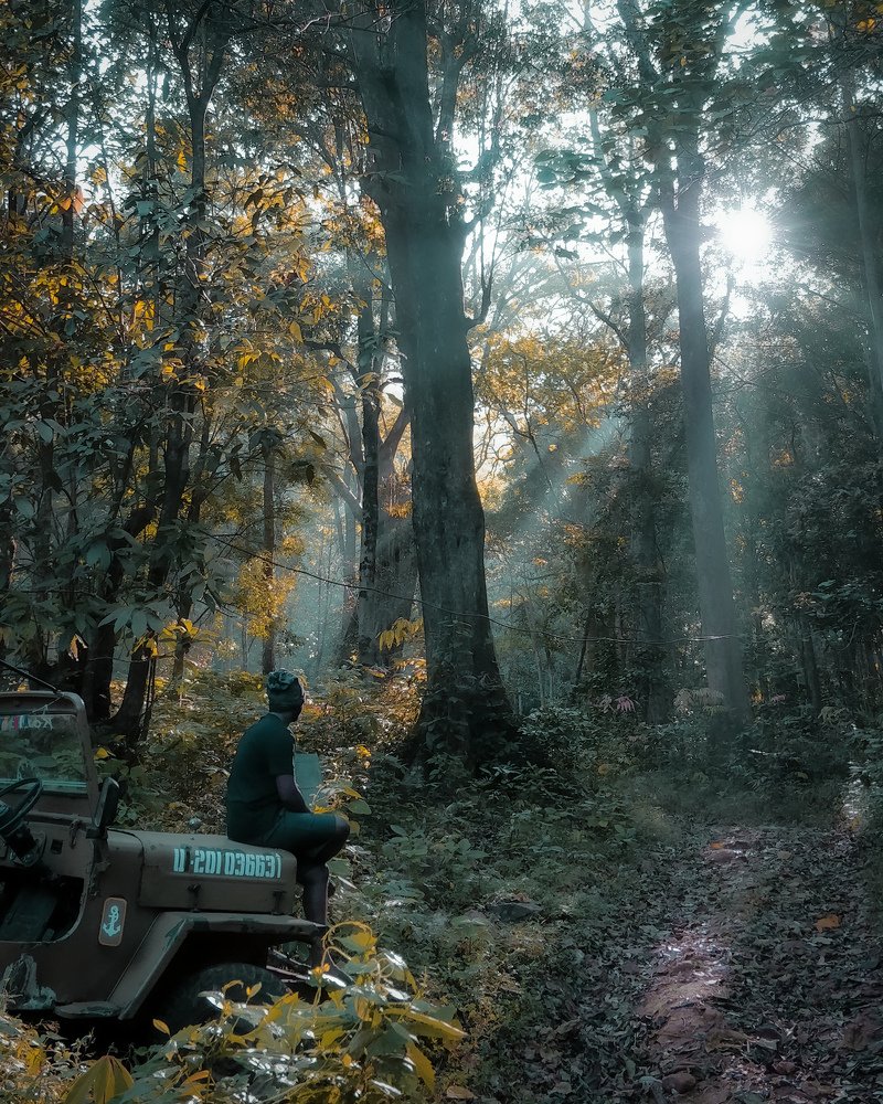 "Nature itself gives a positive energy.. "