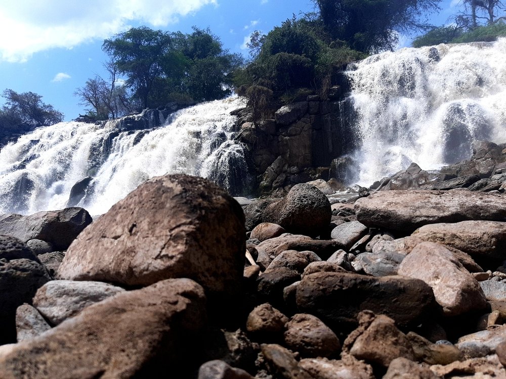 Photo #4403374