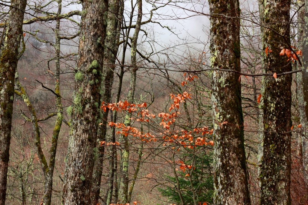 Красота Горной Природы