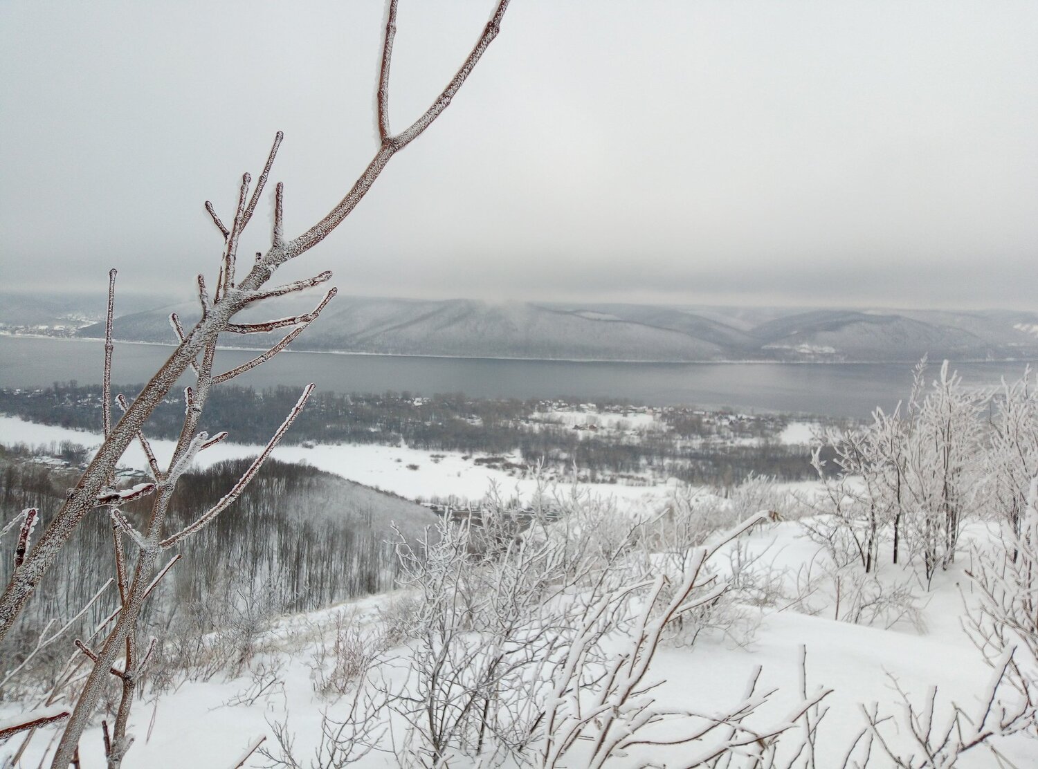 Photo #4403533