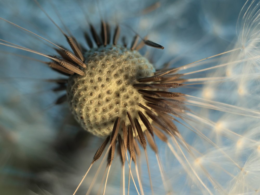 Фотография автора Мария Александрова