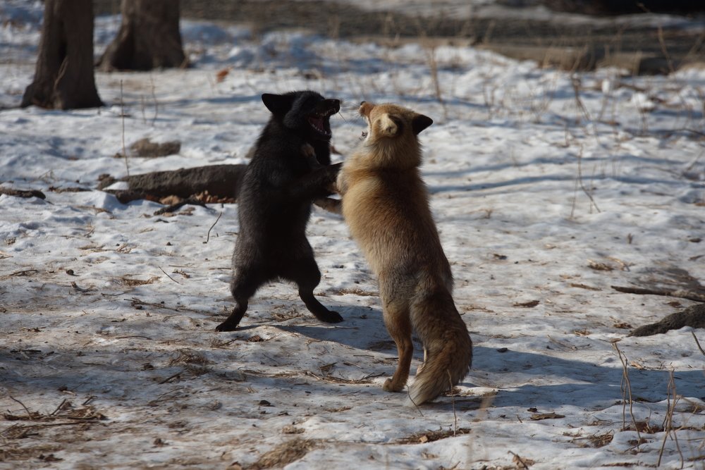 Photograph by Валентина Куцерук