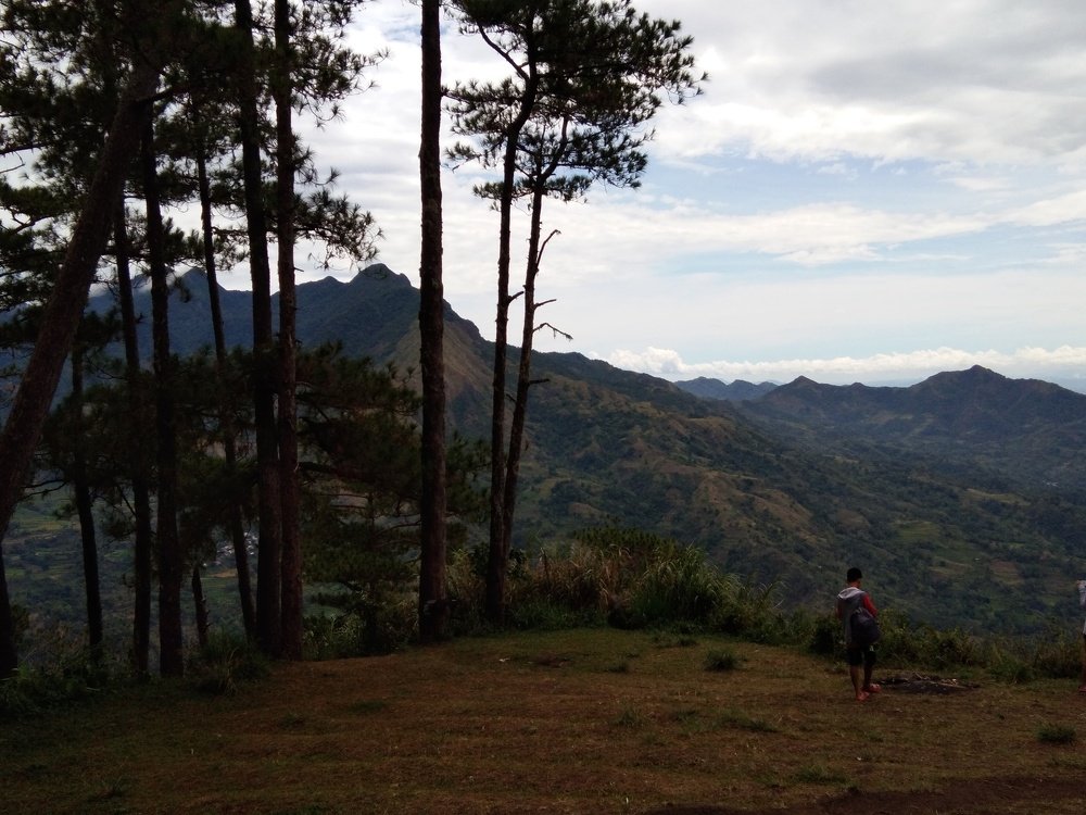 Photo #4403627