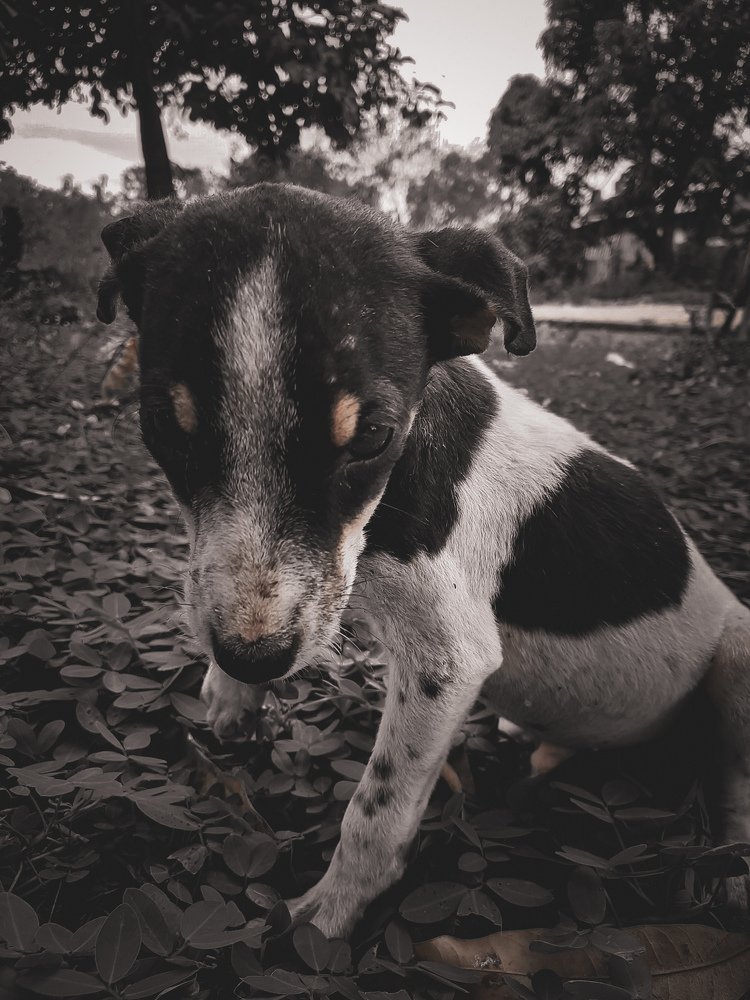 Photograph by Wilder Chica