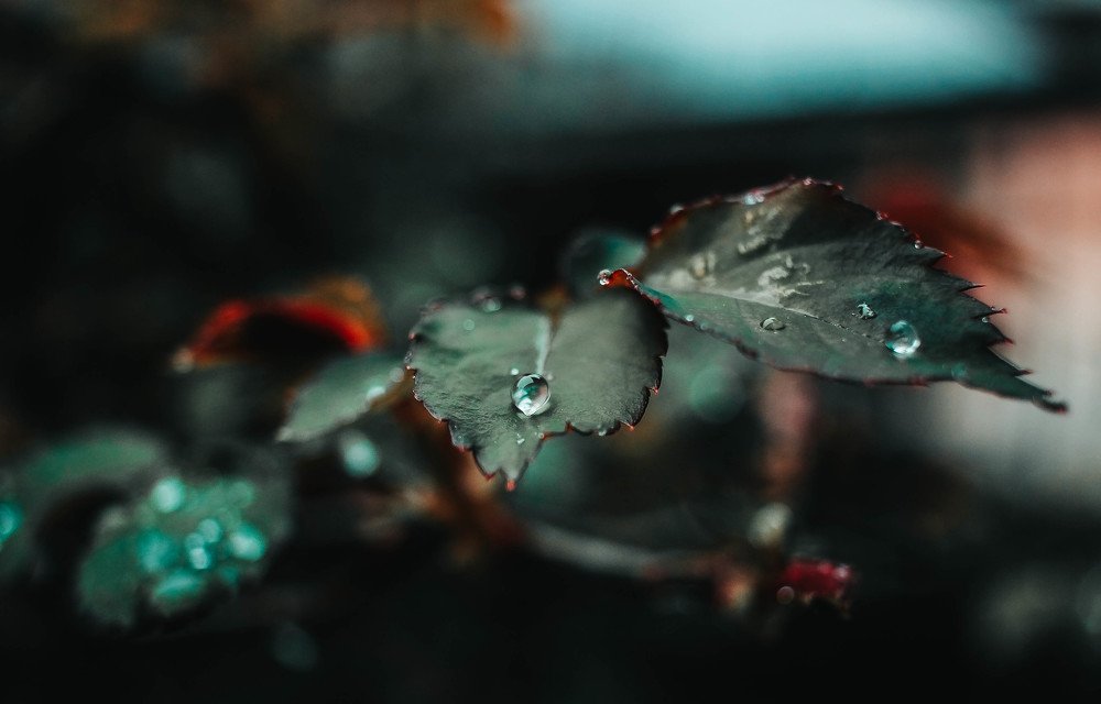 Photograph by Polina Golikovskaya