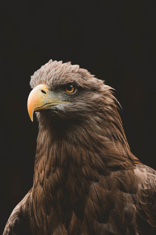 Photograph by Polina Golikovskaya