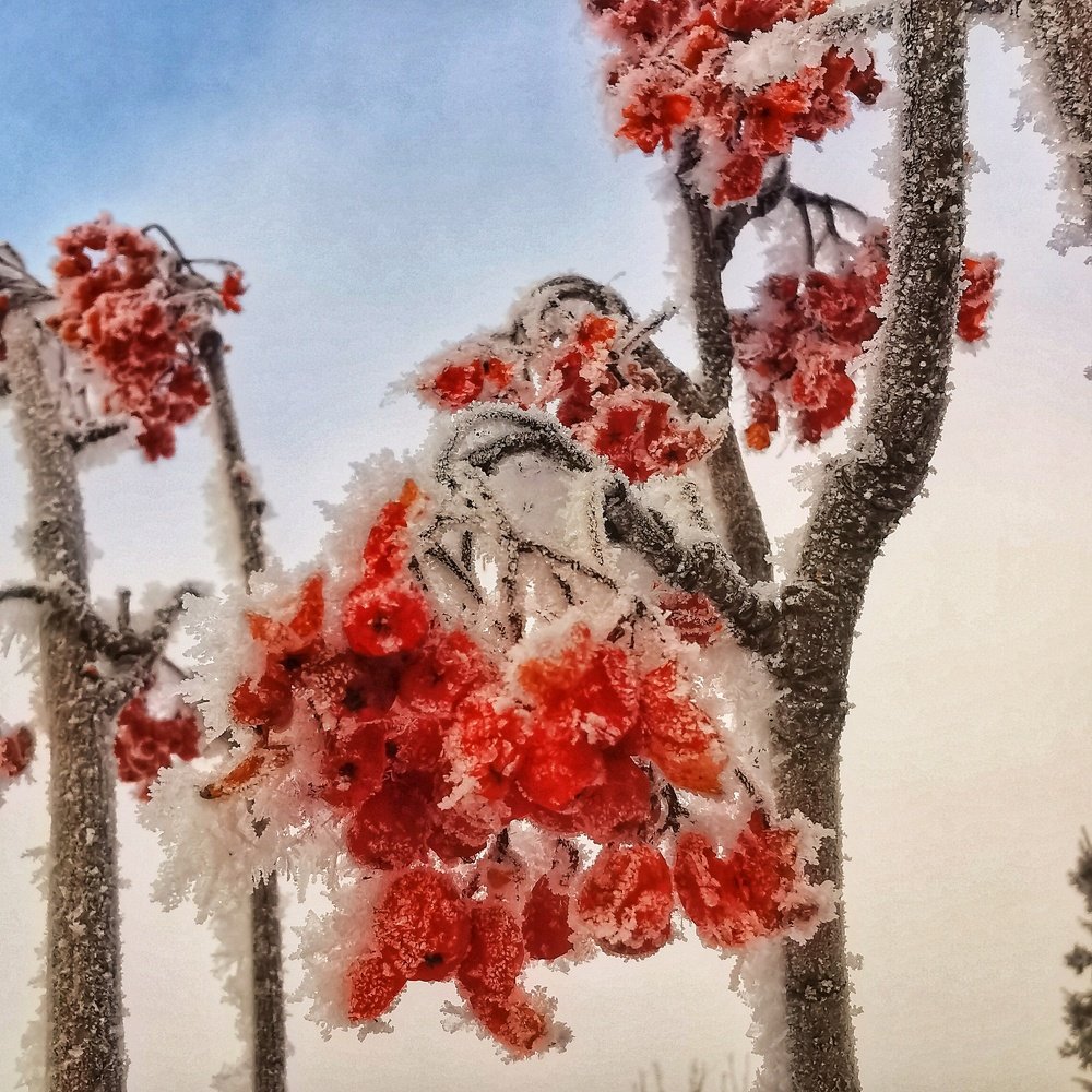 Photograph by Нина Дорожинская