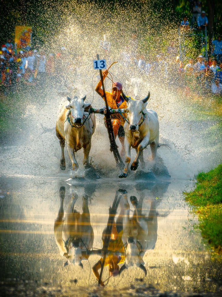 Photograph by Tran Minh Dung