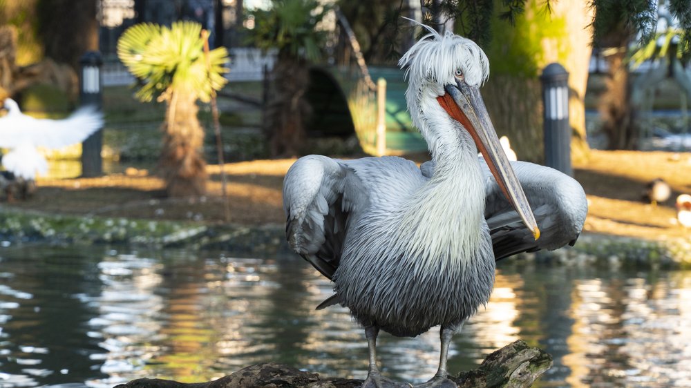 Photograph by Екатерина Акимова