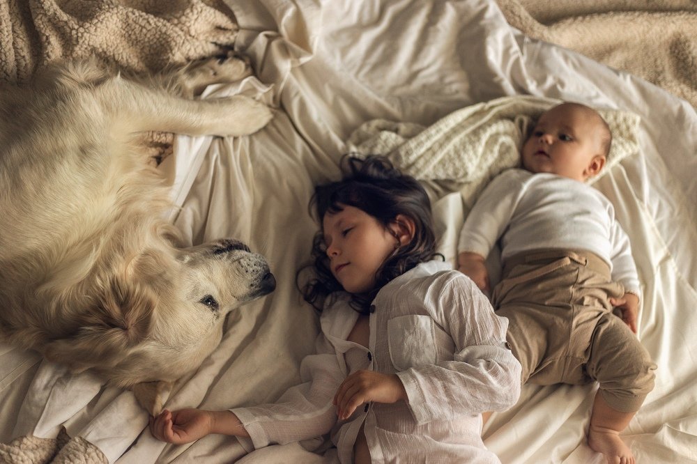 Photograph by Алена Псарева