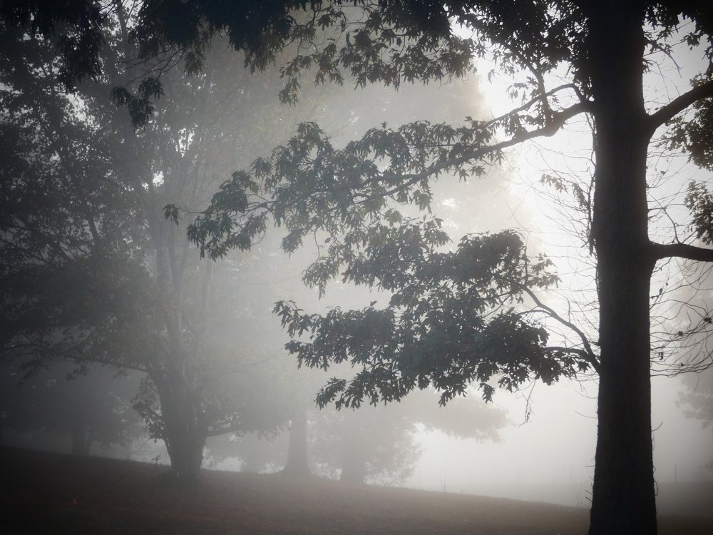 Тихая ночь.