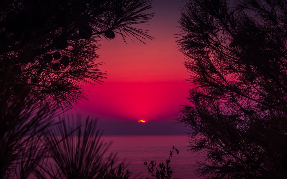 Photograph by Степанюк Данил