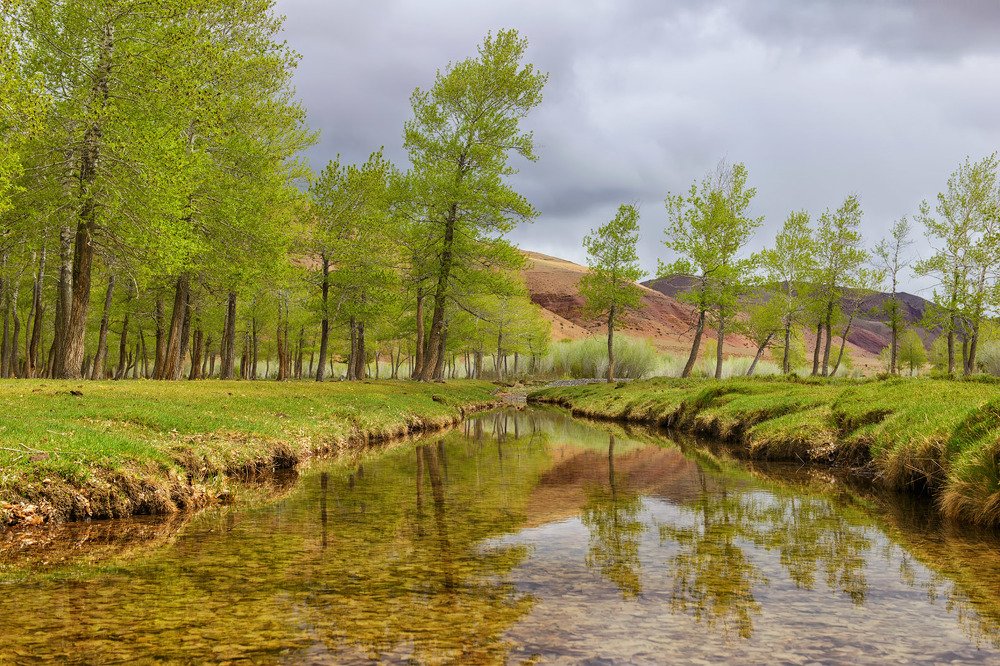 Photograph by Константин Белошапкин