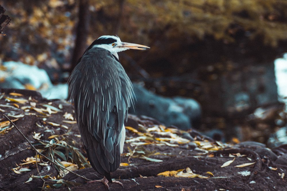 Photograph by Polina Golikovskaya